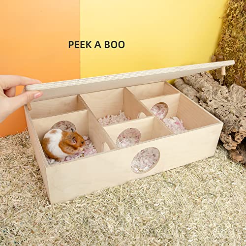 Niteangel Multi-Chamber Hamster House Maze: 2 Entrance 6 Rooms Maze Habitat | No-Disturb Removable Lid - Encourage Pets Hide and Explore Freely Hideout & Tunnel Maze Toys for Hamster Gerbils Mice Lemming - size: 6-Room Large