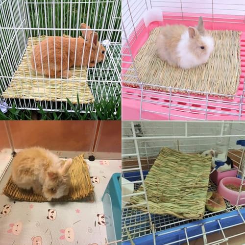 kathson 8 PCS Bunny Grass Mat Natural Woven Pet Bed Nest Mats Rabbits Chew Toys for Hamsters Parrot Rabbits Hedgehog Guinea Pig Bunny and Other Small Animals - size: 8 pcs