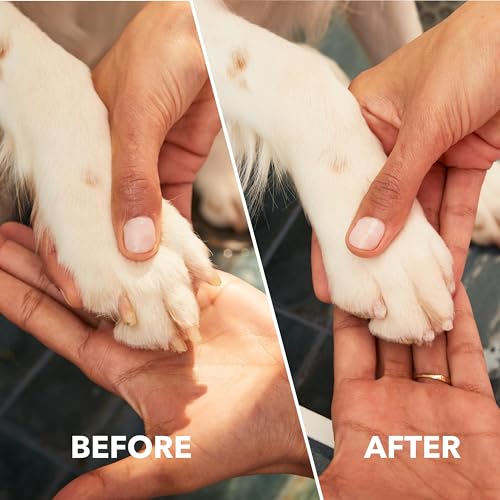 Dremel PawControl 7760-PGK Dog Nail Grinder and Trimmer - Cordless & Rechargeable Pet Grooming Tool Kit - Safe and Humane for Dogs, Cats, and Small Animals - style: 7760-PGK