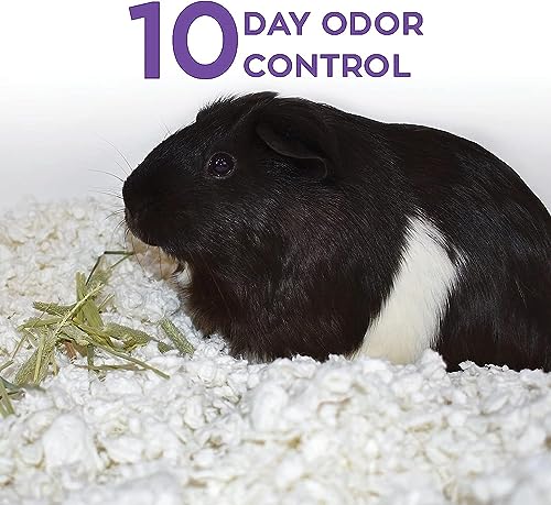Carefresh White Natural Paper Small Pet Bedding, Odor Control 50L | 2X more absorbent, 99% dust free, odor control, Biodegradable and compostable, For hamsters, rabbits and guinea pigs - color: white, size: 50 L