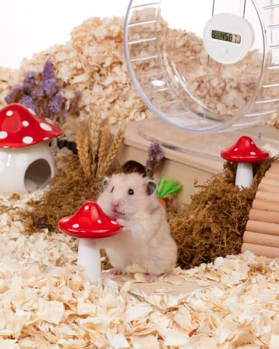 Niteangel Hamster Chew & Decor Toys: Pack of 2 Mushroom-Shape & Beech Wood | Chew-Friendly Design to Control Tooth Overgrowth for Syrian Dwarf Hamster Gerbils Mice Lemming Degu or Other Small-Sized Pets - size: Mushroom-Shape