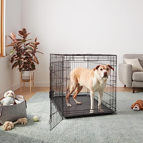 Amazon Basics Portable, Foldable Metal Wire Dog Crate with Removable Tray, Divider Panel, Easy to Assemble, for Large Dogs, 48 x 30 x 32.5 in, Black - size: 48 x 30 x 32.5 in, style: Single Door w/ Divider