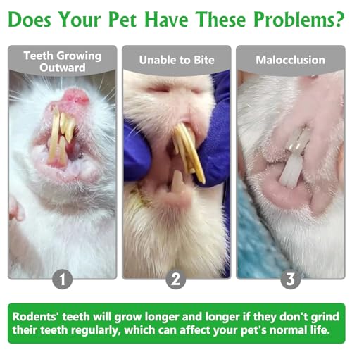 Fhiny Rabbit Chew Toys, 24 PCS Natural Hamster Molar Snacks Handmade Small Animal Chew Toys for Teeth Timothy Hay Treats Habitat Decor for Bunny Guinea Pig Chinchilla Hamster Gerbil Dental Care - size: 24 PCS
