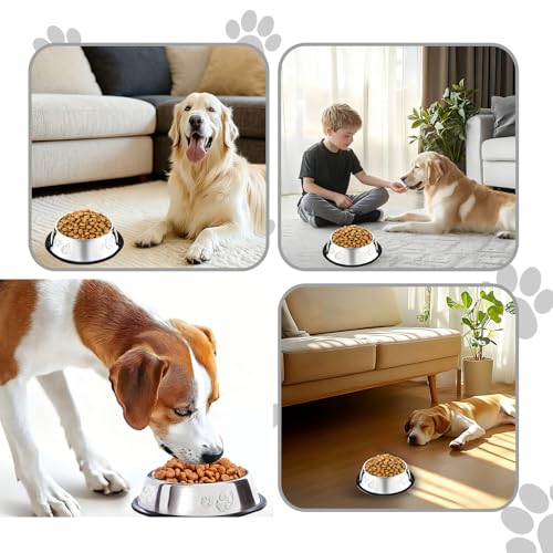 10 Pcs Stainless Steel Dog Bowl Pet Feeding Bowl with Rubber Base Non-Slip Pet Dishes Metal Dog Bowls Pet Food and Water Bowls for Small Medium Animals Kitten Rabbit (47.3 oz) - size: 47.3 oz