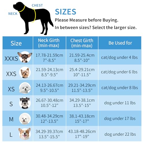 Teacup Puppy Harness with Leash - Adjustable Soft Vest with Magic Tape & Reflective Safety Strips, Easy-Put-On for Poodles, Pomeranians - Gym, Hiking, Travel (Blue, S) - color: Blue, size: S(Chest: 13.5 - 15")
