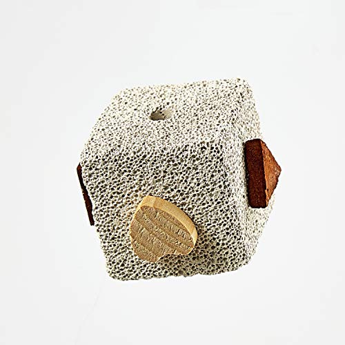 Kaytee Natural Lava Block with Wood Chews