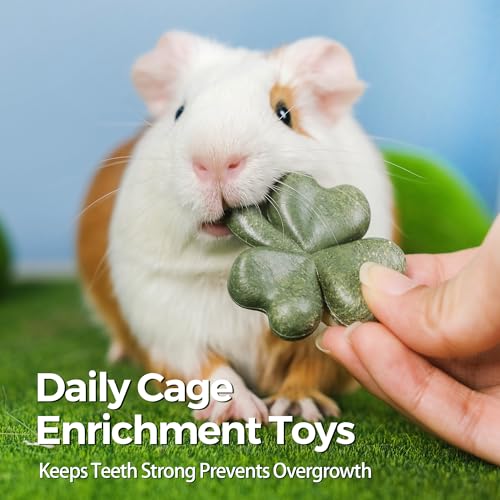 TEEWY Hamster Toys, Guinea Pig Chew Toys with Natural Timothy Hay for Guinea Pigs, Chinchillas, Hamsters, Gerbils and Other Small Pets, Teeth Grinding Toys, 8PCS，Clover-Shaped