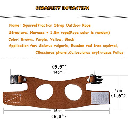 Squirrel Traction Rope Strap Anti-Biting Chain Rope, Adjustable Vest, Small Animal Walking Harness with Lead Leash, Hamster Gerbil Rat Mouse Ferret Chinchilla Small Animal Walking Leash | Small Animal Walking Harness with Lead Leash/ No Neck Strain/ Stres