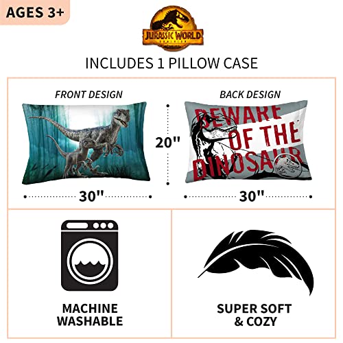 Jurassic World Dominion Blue Velociraptor Super Soft Microfiber Reversible Pillowcase, 20 Inches x 30 Inches, Bedding by Franco Kids - color: Jurassic World Dominion