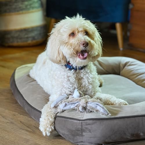 SPOT Skinneeez Rabbit 22 Inch Stuffing-Free Plush Dog Toy with Dual Squeakers – Long Interactive Chew Toy for Medium and Large Dogs – Mess-Free Play for Light & Moderate Chewers - style: Rabbit