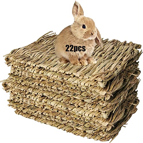 Hamiledyi Bunny Grass Mat Natural Woven Hamster Grass Bed Nest 22 PCS Small Animal Handmade Bedding Hay Mat Chewing Play Toy for Guinea Pig Chinchilla Rabbit Squirrel Hedgehog