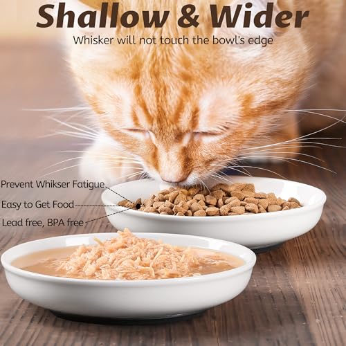 WROSWT No Spill Cat Bowls,Cat Food Bowl,Anti Whisker Fatigue Healthy Ceramic Cats Dishes Set for Indoor Cats,Shallow Wide Kitten Plates for Food and Water,Non-Slip Silicone Bottom,6 Pack - size: Deeper-6 Pack