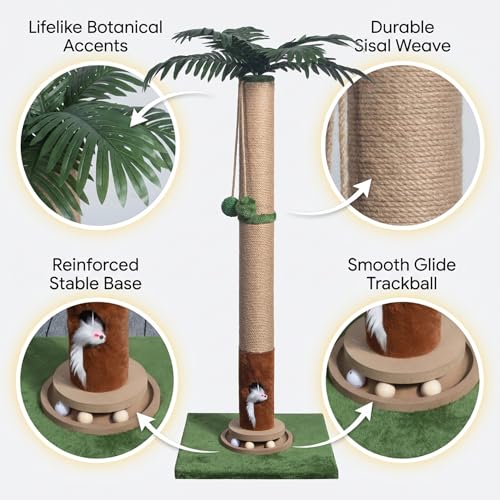 Fantasreen Cat Scratching Post 35'' Tall with Toy Mouse for Indoor Cats, Green - color: Palm Tree-35 inch