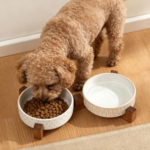 Ceramic Dog Bowl Set with Acacia Wood Stand, Ceramic Pet Bowls | 1.5–2 Cups Food & 15oz Water, Lead-Free, Smooth Glaze with Non-Slip Base for Cats and Small Dogs