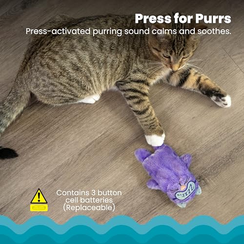Catstages Purr Pillow Cat Toy – Plush Cat Toy with Touch-Activated Purr for Calming Cats & Kittens - color: Purr Pillow Kitty