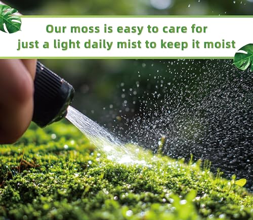Live Moss for Terrarium Bedding & Reptile Enclosures | Moisture-Holding Layer, Humid Hide Accent, Forest-Floor Look, Easy to Trim, For Frogs, Geckos, Turtles, Snakes