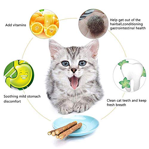 WoLover 20 PCS Matatabi Sticks, Silvervine Chew Toys for Cats | Natural Catnip Sticks, Cleaning Teeth Molar Chew Toy for Cat Kitten Kitty Dental Care - size: 20 PCS
