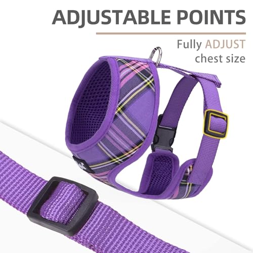 PUPTECK Soft Mesh Dog Harness and Leash Set Pet Puppy Cat Comfort Padded Vest No Pull Harnesses, Purple, S - color: Purple, size: S (NECK: 12", CHEST: 14"-18")