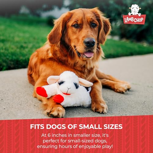 Multipet Lamb Chop Dog Plush Toy-Squeaky Toy for All Dogs - Extra Soft Plush - Stuffed Animal Dog Toy for Cuddling & Playing - Cute Pet-Toy (6", Cream) (Pack of 2) - size: 6" (Pack of 2), style: White