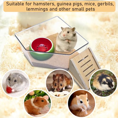 PINVNBY Hamster Sand Bath Box, Transparent Acrylic Sand Bath Shower, Gerbils Digging Room Container with Climbing Ladder and Ceramic Bowl, Litter Box for Hamsters Guinea Pigs Mice (Triangle)