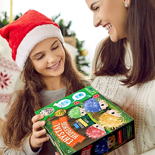 Crystal Growing Kit - 4 Vibrant Hedgehogs Fast 24H, STEM Gift for Kids 6-12 | Grow 4 vibrant hedgehogs in 24H. STEM science kit for ages 6-12. Educational DIY toy, great birthday gift for boys & girls. - color: 4 Hedgehog Crystal