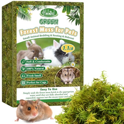 Halatool 25QT Hamster Moss for Bedding Nesting Hideout, Soft & Safe, 1.1LB | Odor Control, Forest Moss for Rabbits Squirrels Guinea Pigs, Small Animals Cages, Terrariums, Reptiles, Plants - size: 1.1lb/25qt