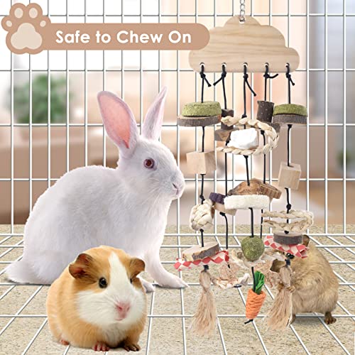 Bissap Rabbit Chew Toy, Bunny Cage Hanging Chew Toys and Treats Wooden with Snacks for Guinea Pigs Chinchillas Hamsters Rats and Other Small Pets Teeth Grinding - style: Style-1