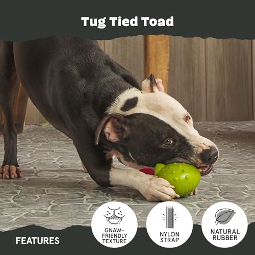 BarkBox Tug Tied Toad Dog Toy | for Tough Chewers - Durable Rubber Design, Perfect for Tug-of-War - color: Tug Tied Toad-Large