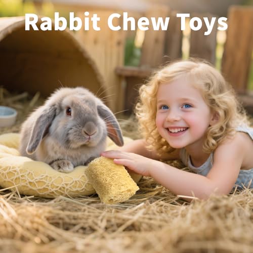 BESNEW Rabbit Chew Toys,100% Natural Loofah Without Additives,Bunny Chew Toys for Teeth,Fiber-Rich Rabbit Treats for Bunny Chinchilla Dogs - style: 1 ps