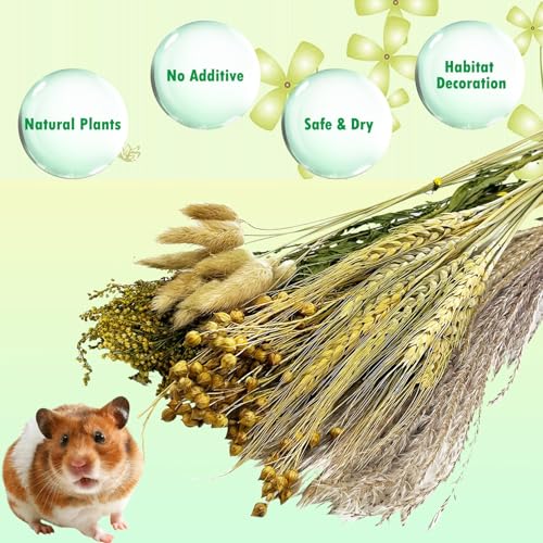PINVNBY Natural Flower & Herb Hamster Bedding Habitat Decor Grain Guinea Pig Bedding Hamster Sprays Hamster Cage Accessories for Guinea Pig Dwarf Syrian Gerbils Mice Mouse Rat (Grain Version)