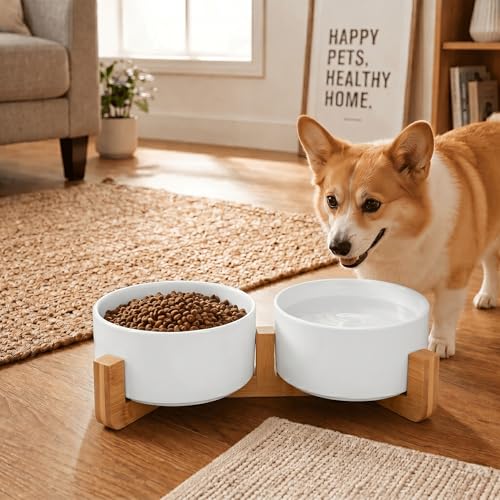SPUNKYJUNKY Ceramic Dog and Cat Bowl with Wood Stand Non-Slip Matte Glaze Weighted Food Water Set for Cat Medium Dog 28.7 OZ - color: White × 2, size: 3.6 cups