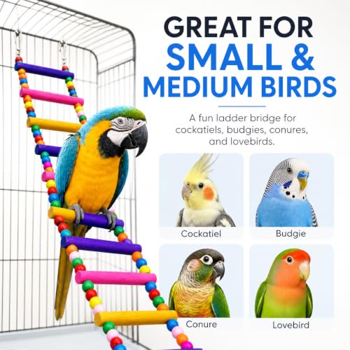 Flexible Wooden Bird Ladder Bridge for Cages, 12.5 in, 5 Steps | Natural wood, flexible bridge shape, four metal clasps, climbing and perching for small and medium birds - color: 12.5Inch - 5 Ladders