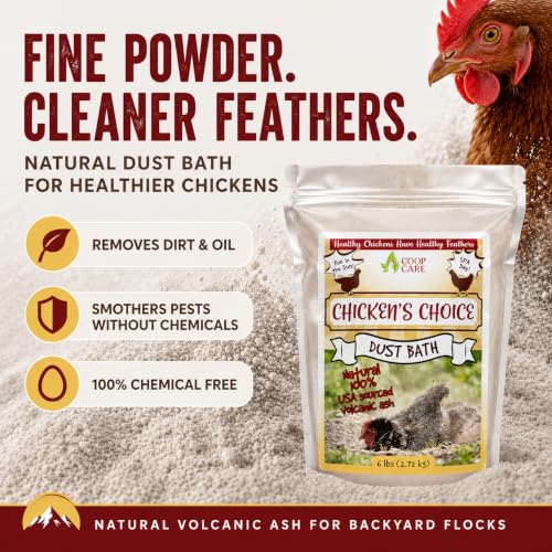 Chicken's Choice Chicken Dust Bath, 6 lb Natural Volcanic Ash Dust Bath for Chickens. Dust Mix for Healthy Chickens, Chinchillas, Small Animals. Made in The USA. Coop Accessories (1, Volcanic Ash)