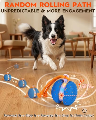 Xeuch Interactive Dog Toys, Automatic Irregular Moving and Rolling Dog Ball | 2 Speed Modes, E-TPU Material, Motion Activated Pet Toys with Rope for Dogs Puppies, Dog Stimulation Toy Blue