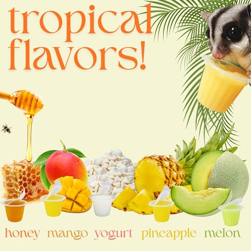 Nectar Pods (Pineapple) - Calcium-Fortified Jelly Fruit Treat - Sugar Gliders, Marmosets, Squirrels, Parrots, Cockatiels, Parakeets, Birds, Hamsters, Day Geckos, Kinkajous & Other Small Pets