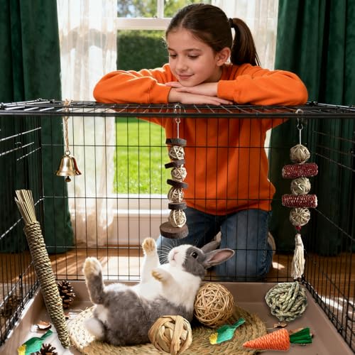 Rabbit Toys Bunny chew/Premium Guinea Pig Toys Natural Material Timothy Hay Sticks Apple Wood Sticks Handmade for Guinea Pig Hamster Rat Chinchilla - color: TOY-1-11