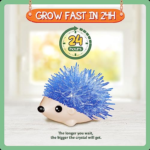 Crystal Growing Kit - 4 Vibrant Hedgehogs Fast 24H, STEM Gift for Kids 6-12 | Grow 4 vibrant hedgehogs in 24H. STEM science kit for ages 6-12. Educational DIY toy, great birthday gift for boys & girls. - color: 4 Hedgehog Crystal