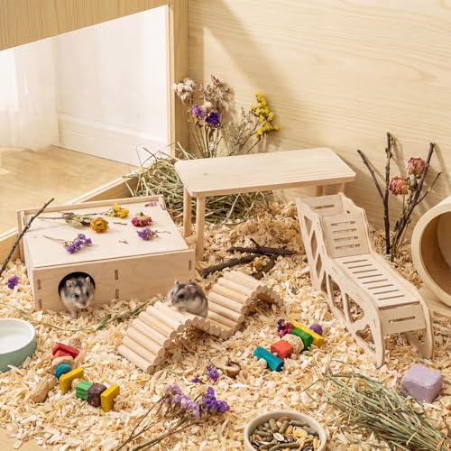 BreezeHug 4 Pcs Hamster Cage Accessories Hamster Platform Hideout Wooden Tunnel Ladder Playhouse Game Climbing Toy with Platform for Pets Dwarf Syrian Mice Degus Gerbils Squirrel(Enclosure) - style: Enclosure