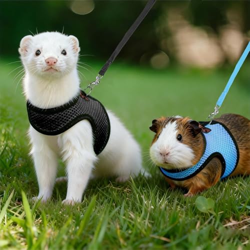 2pcs Animal Harness and Leash, Ferret Harness No Pull Mesh Black Blue,S | Soft Mesh Comfort, Bell for Outdoor Walks, Velcro Easy-On Fit, 4.4 ft Leash, for Baby Ferrets, Rats and Guinea Pigs - color: black+blue, size: Small (Pack of 2)