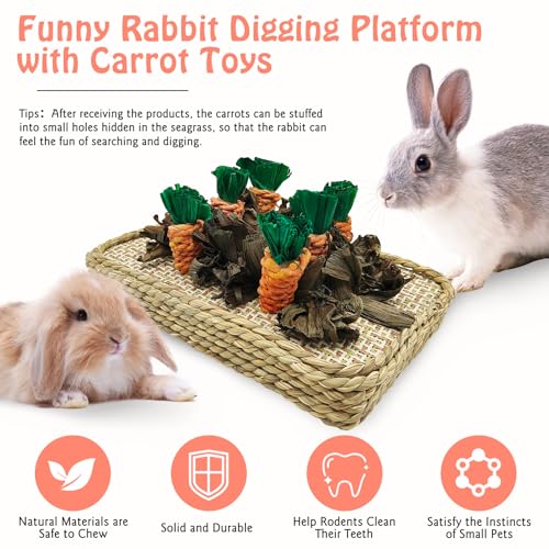 Hamiledyi Pet Fun Bunny Chew Toy Rattan Grass Scratcher Rabbit Enrichment Climbing Play Carrot Digging Toys for Bunnies Rabbits Guinea Pigs Parrots Ferret Hedgehog Squirrel and Other Rodents