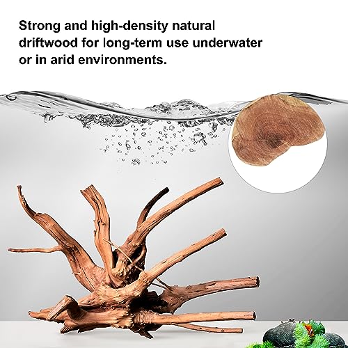 Natural Large Driftwood for Aquarium Decor Fish Tank Decor Reptile Decor | Assorted Driftwood Branch, Natural Driftwood for Aquascaping and Reptile Decor - size: Spiderwood 11 to 14 Inch(Pack of 2)
