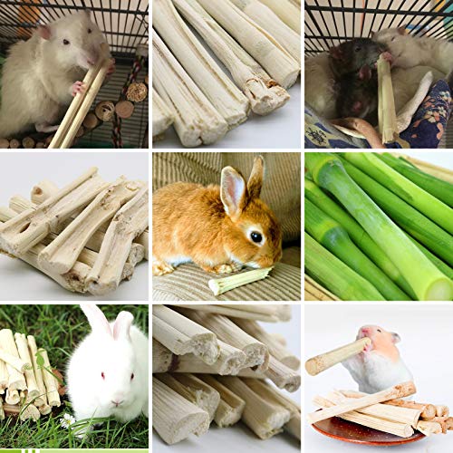 BWOGUE 100g Pet Snacks, Bamboo Chews for Rabbits, Sweet Bamboo Chew Sticks | About10-14 Sticks, 3.94 in Bamboo Sticks for Rabbits, Rabbit Chew Toys, Squirrels, Guinea Pigs, Chinchillas & Hamsters - size: 1 Count (Pack of 1)