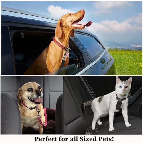SunGrow Dog Seat Belt for Car, Adjustable Nylon Pet Seatbelt, Supports All Cars, Dog Car Leash Seat Belt, Seatbelt for Dogs, Cats & Ferrets Travel Harness - color: Black
