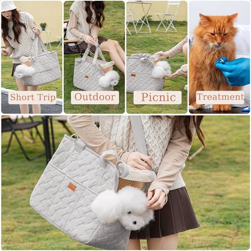 HSC PET Cat Carrier Soft-Sided Pet Small Dog Bag Puppy Purse Traveling Go to Vet,Small Animal Outdoor Function Handbag (Beige2, Large)