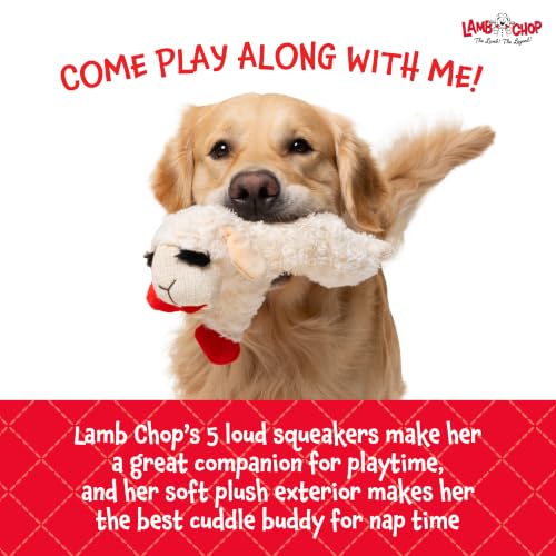Multipet Lamb Chop Dog Plush Toy - Squeaky Toy for Small & Medium Dogs - Extra Soft Plush - Stuffed Animal for Cuddling & Playing (10", Cream, 5 Squeakers) - size: 10", style: Lambchop