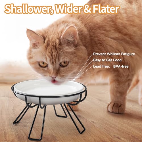 Presents The Ultimate Cat Dining Set: 5.9 inch Ceramic Water Bowl and Whisker-Friendly and Anti-Vomiting Plates.Elevated Bowl, Raised Ceramic Dish with Metal Stand - color: Food Bowl+Water Bowl