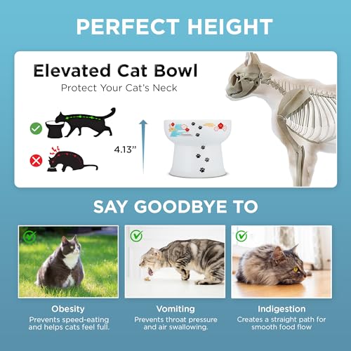 Necoichi Ceramic Elevated Cat Water Bowl, Whisker-Friendly (Fuji, Extra Tall) - color: Fuji, size: Extra Tall