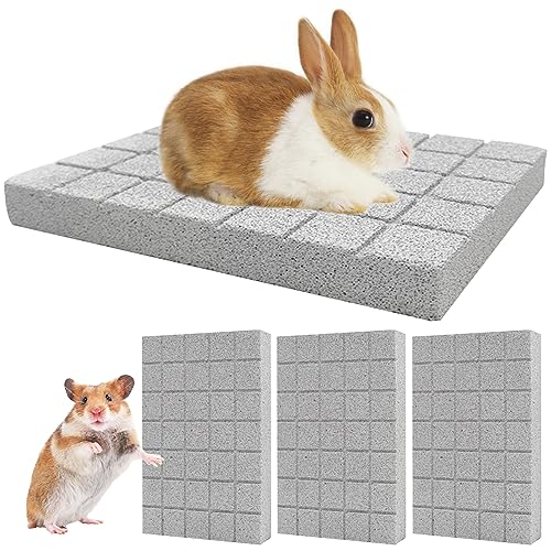 Hamiledyi Rabbit Scratch Foot Pads - 4 PCS Natural Small Animal Lava Stone Teeth Grinding & Scratching Pad for Rabbit, Guinea Pig, Rat, Gerbil, Chinchilla, Hedgehog - color: White-4PCS