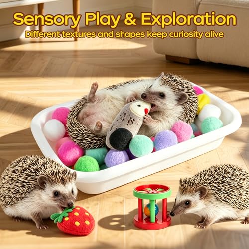 Hedgehog Toys & Accessories, Enrichment Toy Set with Dig Box & Balls | Plush Balls & Fabric Strips, Hedgehog Cage Accessories, Dig Box Toy, Digging Activities, Small Animal Enrichment
