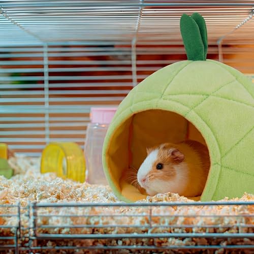 Jetec 2 Pcs Hamster Hammock Hanging Bed for Small Pets | Bed for Hamster Guinea Pig Rat Chinchilla, Banana Pineapple Hanging Nest, Sleep Play Hideout in Small Pet Cage - color: Green